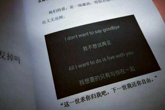 说声再见,恕不远