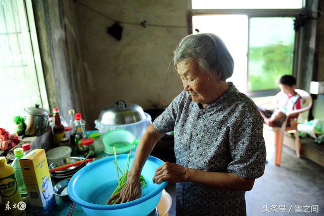 娘去世后爹狠心将他遗弃,外婆辛苦将其养大,想报答时却不知所踪