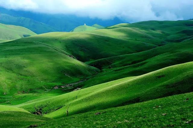 云南有大美而不言之地,高山草甸清新撩人,已到最美时刻!