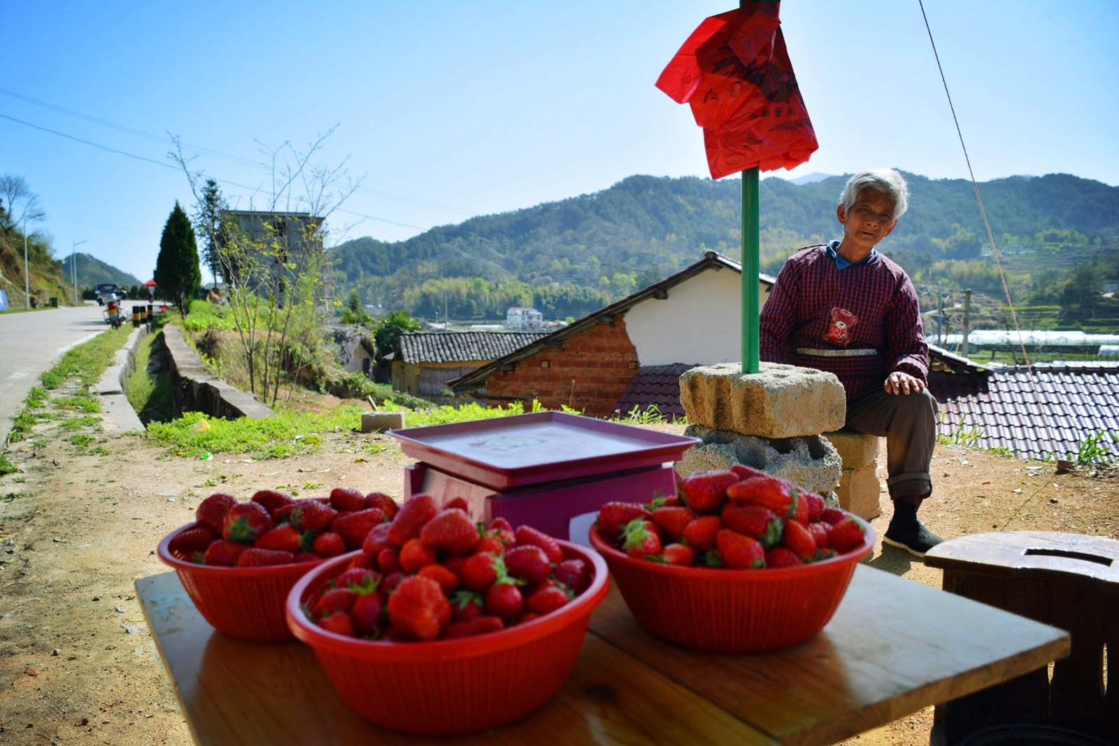 山村大妈卖草莓送草莓秧网友戏称自断财路