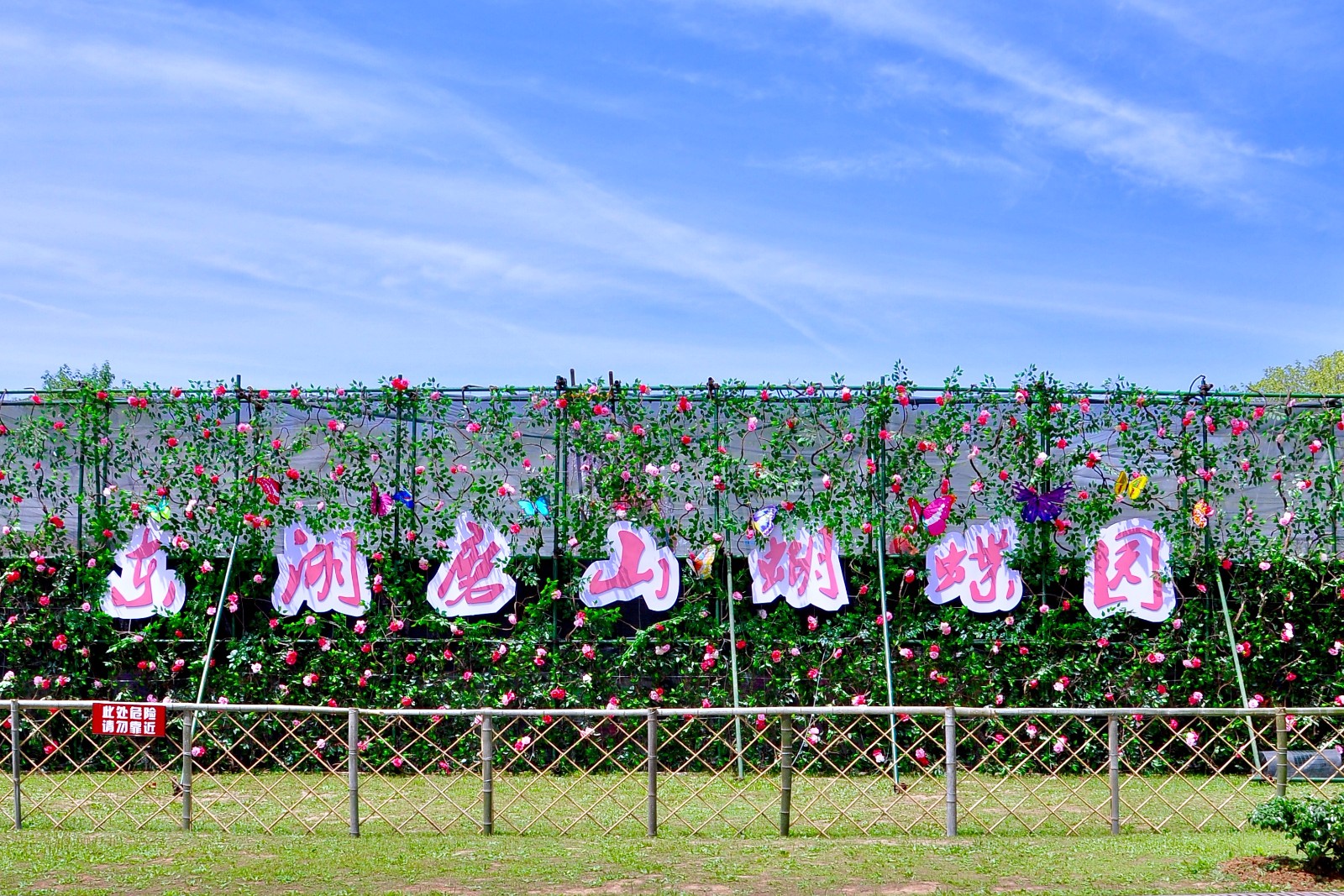 蝶舞东湖(武汉 东湖风景区磨山蝴蝶园)