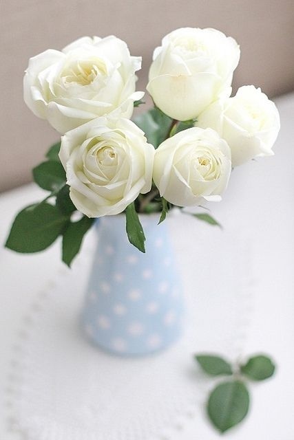 人生在世,谁都会有错误|人生在世|夏洛蒂|勃朗特_新浪新闻