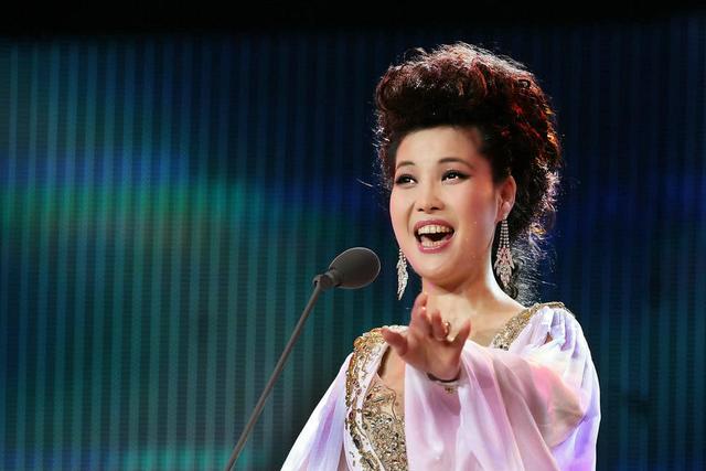 《在希望的田野上》,《我爱你,北京》,《我是你梦中的鸽子》,《沂蒙颂