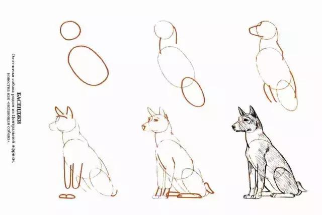 妈妈再也不用担心我不会画画了有了这个教程