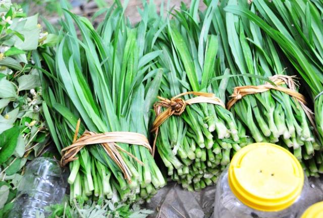 农村这野菜吃起来像韭菜!能"为肠子洗个澡",美味难得!