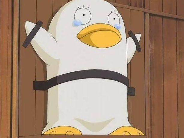 白色外罩,形似全身白色的鸭子.