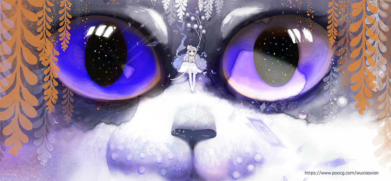 动物眼睛系列来自插画师~舞小仙
