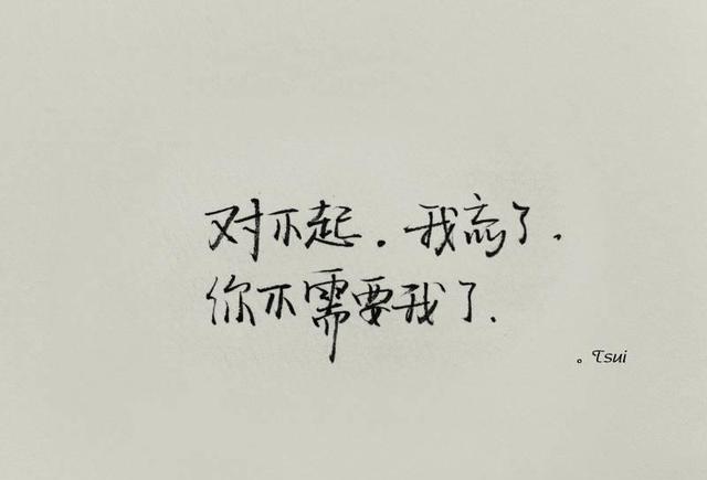 我已经忘记你了,不过我依然恨你