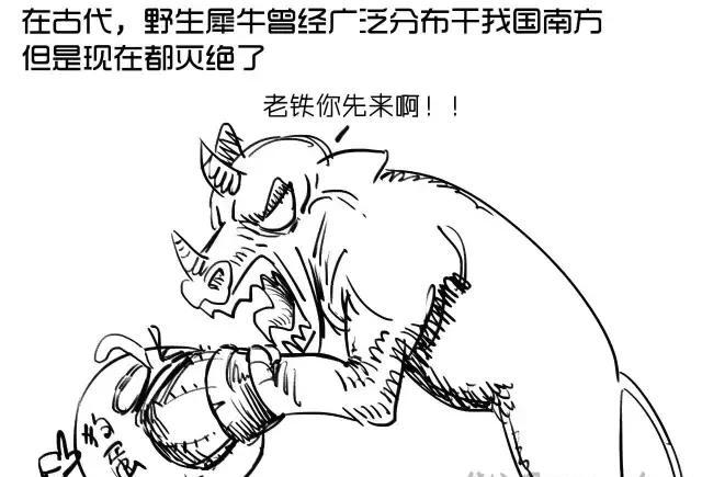 嗡爷漫画山海经19 祷过山已经灭绝的犀