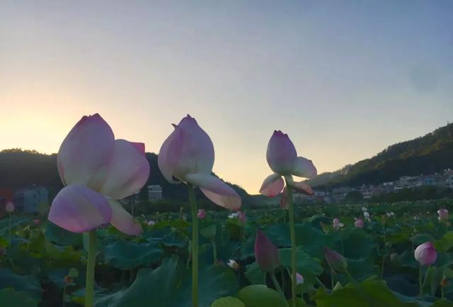 5亿!义乌这个公园10月1日正式开园!景色美翻了