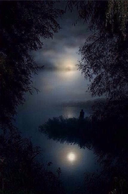 孤月曲柳酒不停醉尽人间愁苦意