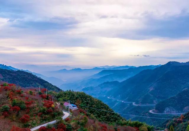 浙里私藏了7条盘山公路,窗外风景美到逆天,走过3条你就是车神!