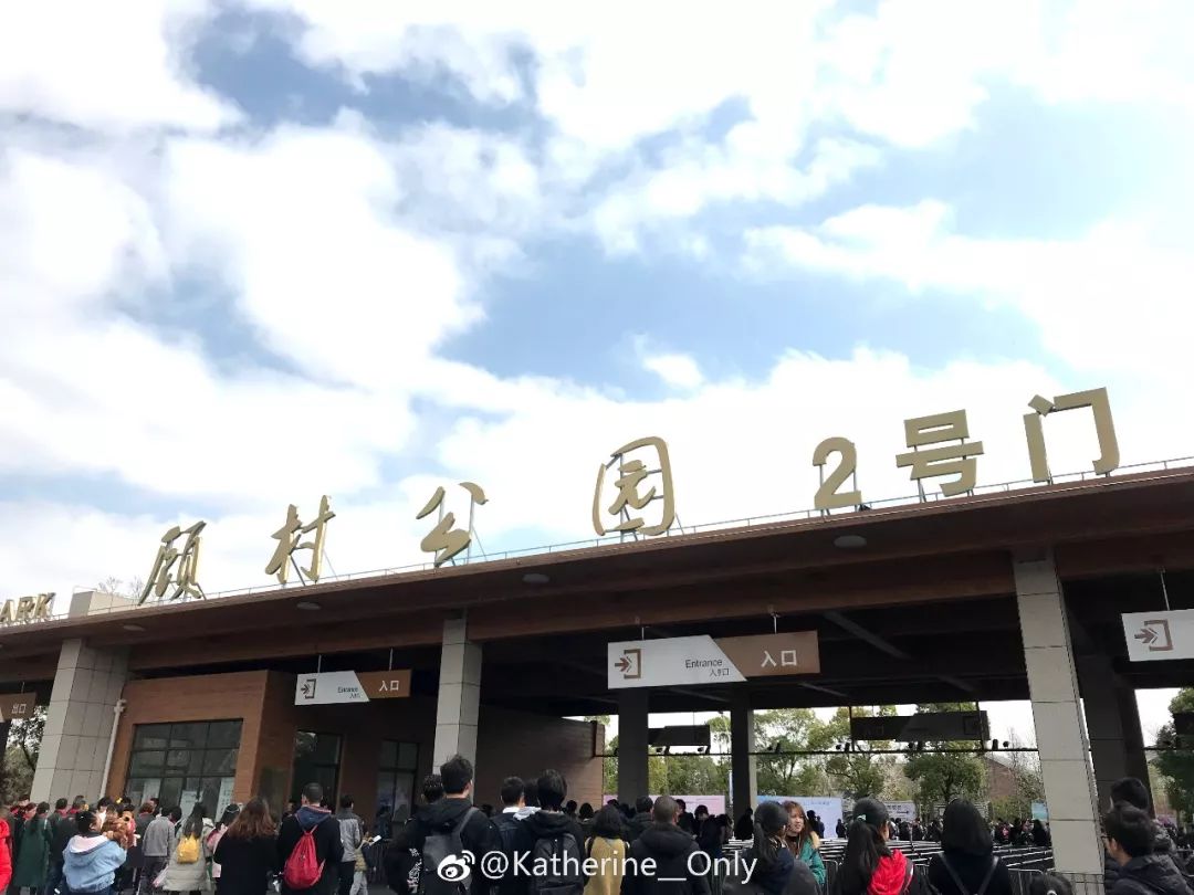 结果……|顾村公园|樱花|樱花节_新浪网