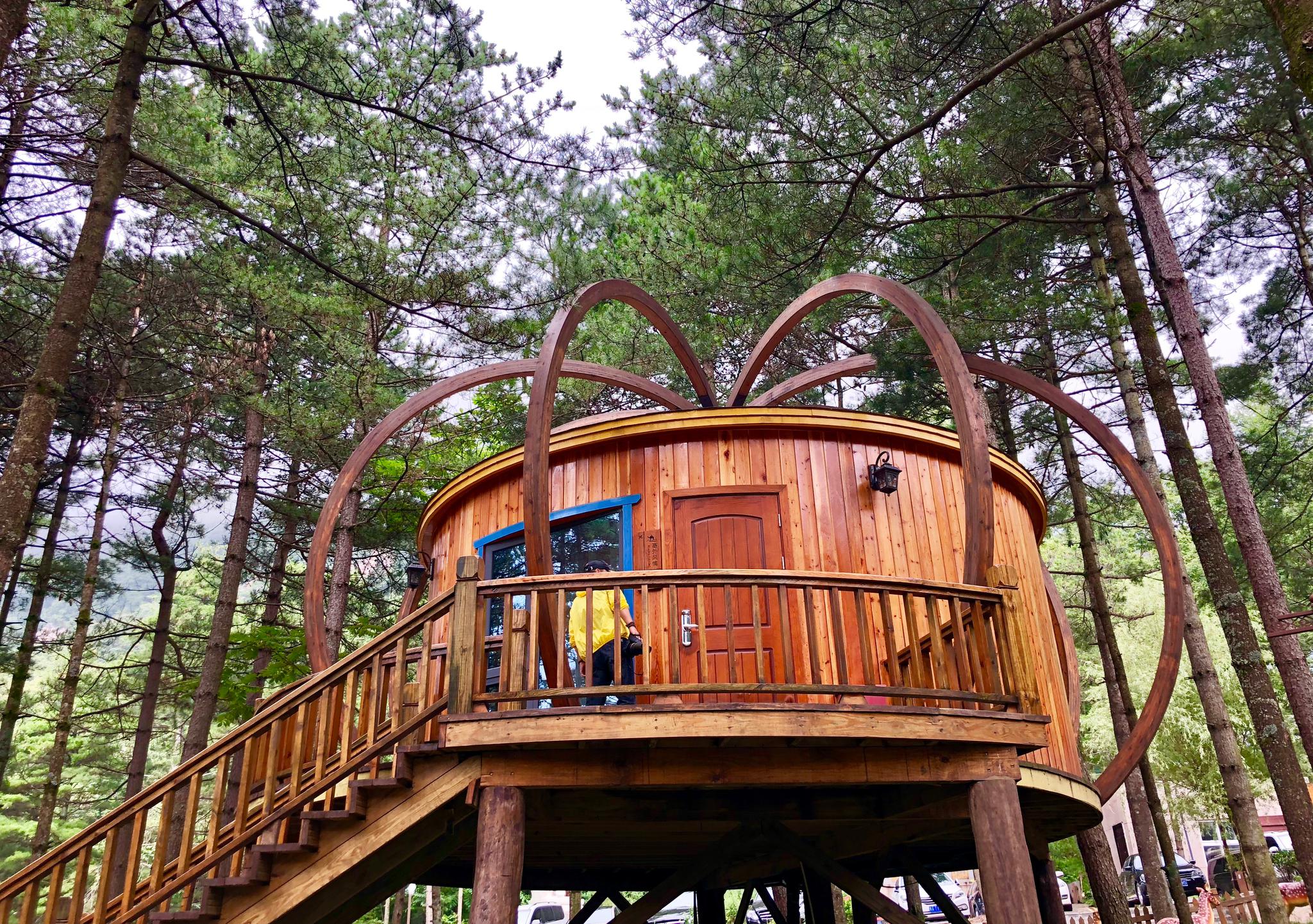 森林木屋别墅在这住一夜那该有爽