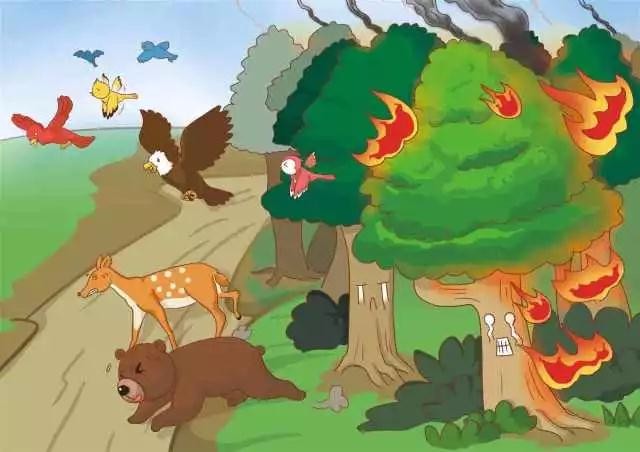 小鸡脱险记作文 森林火灾动物脱险记