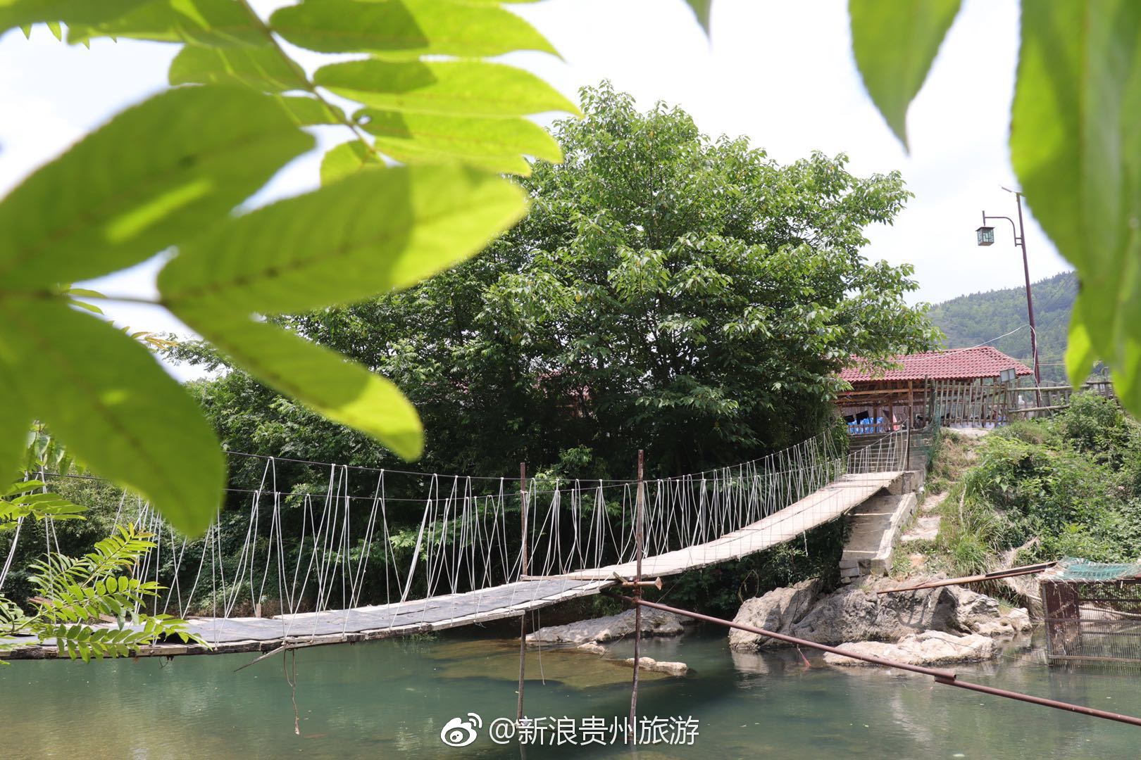 紫云板当镇蓝莓