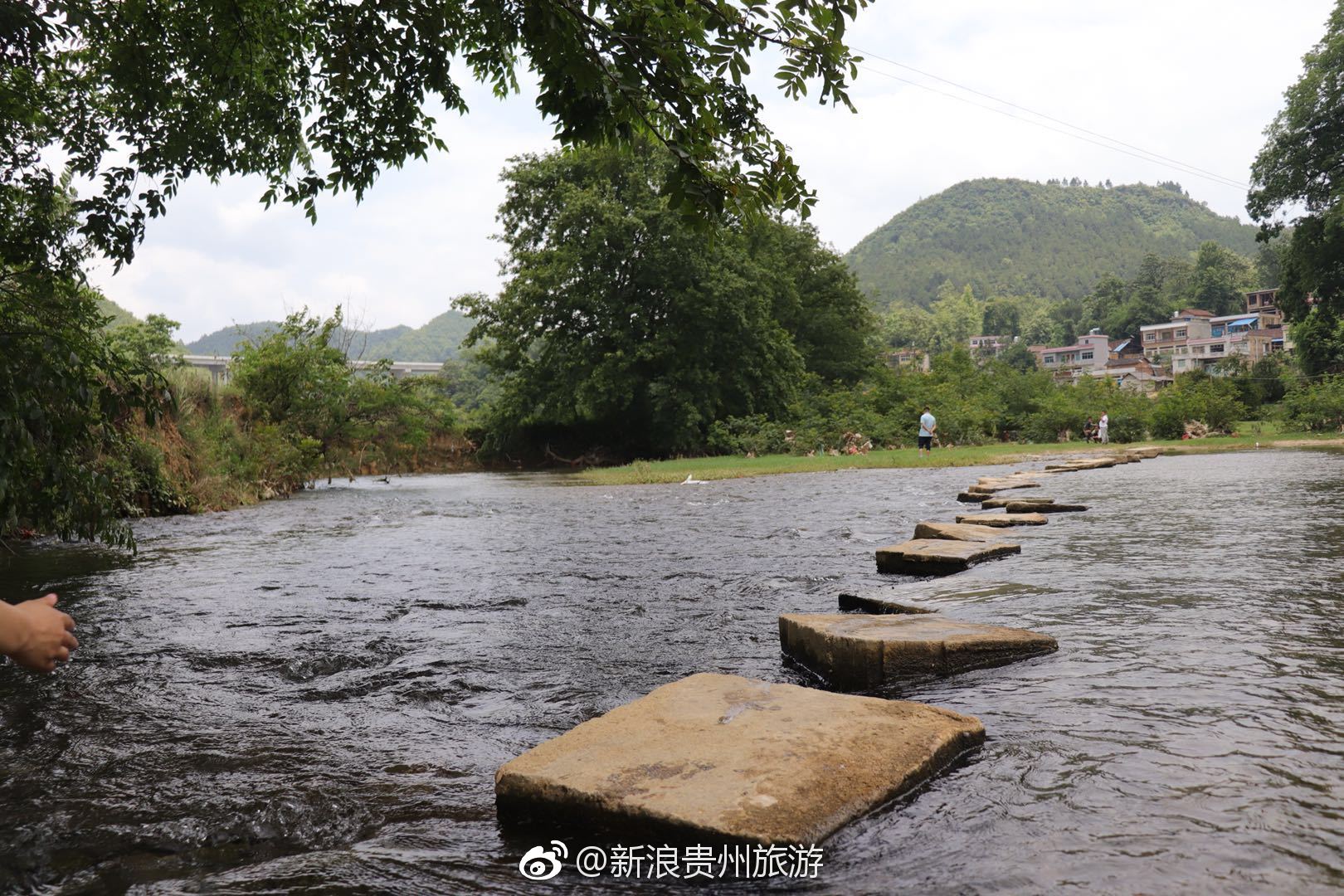 紫云板当镇蓝莓