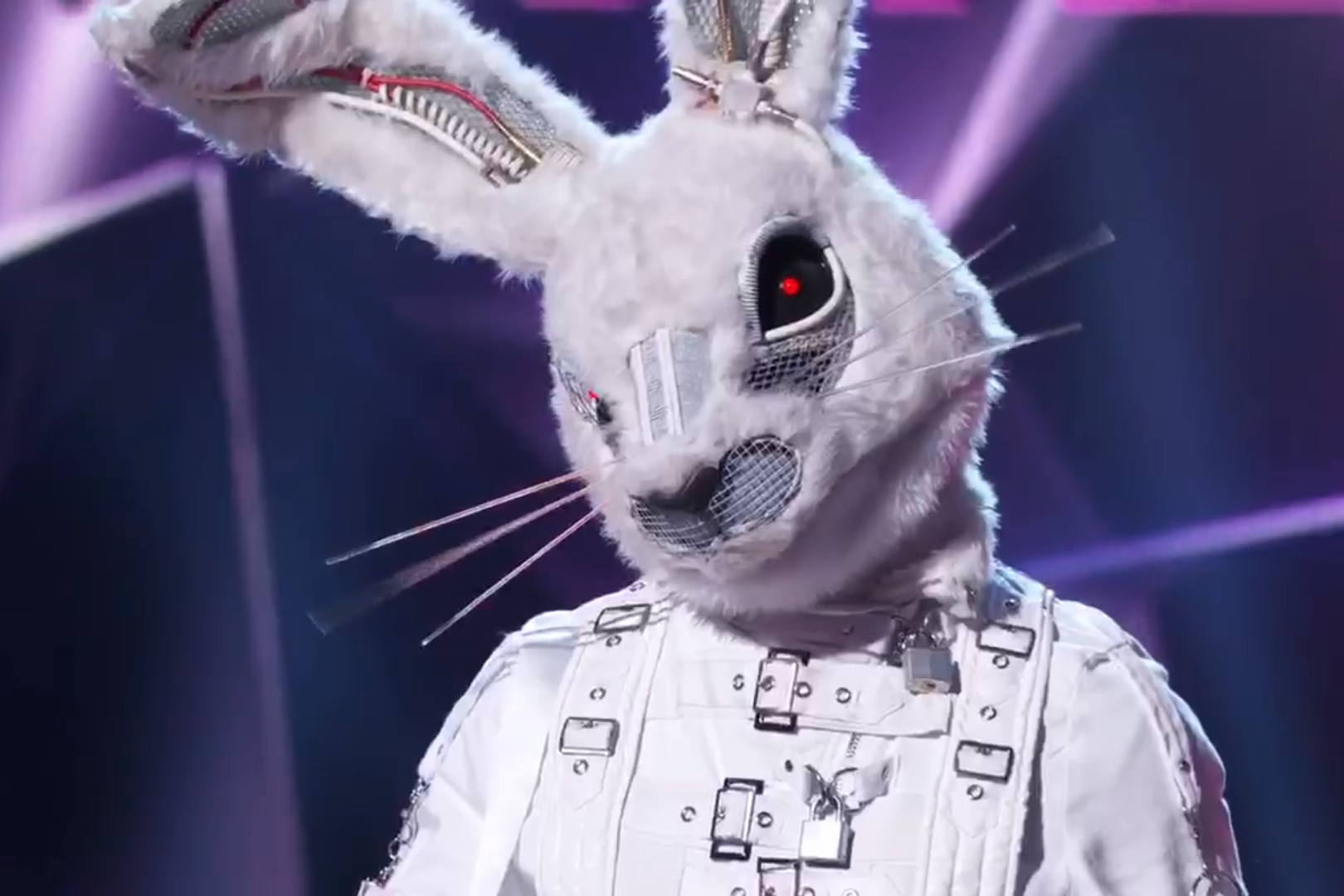 蒙面歌王要出美国版了造型怎么全是动物