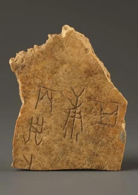 微距下的甲骨文书法,岂一个美字了得