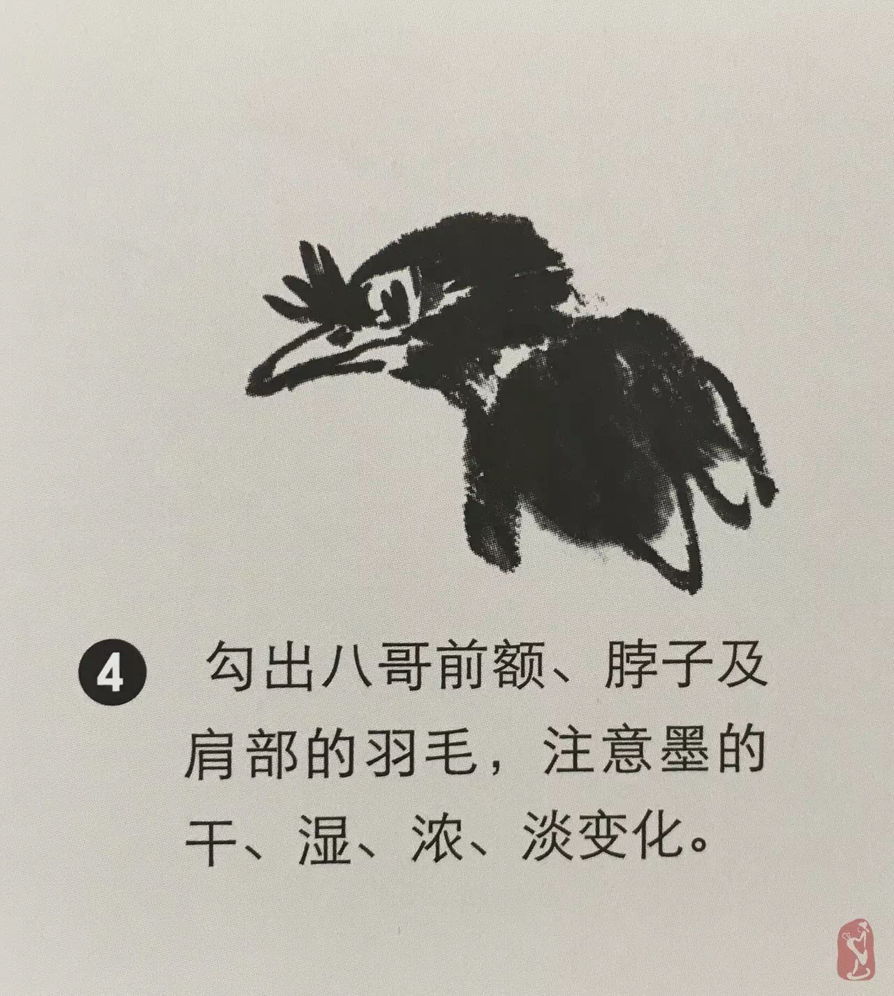 国画八哥教程