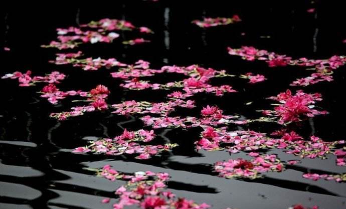 花落水流红闲愁万种无语怨东风西厢记