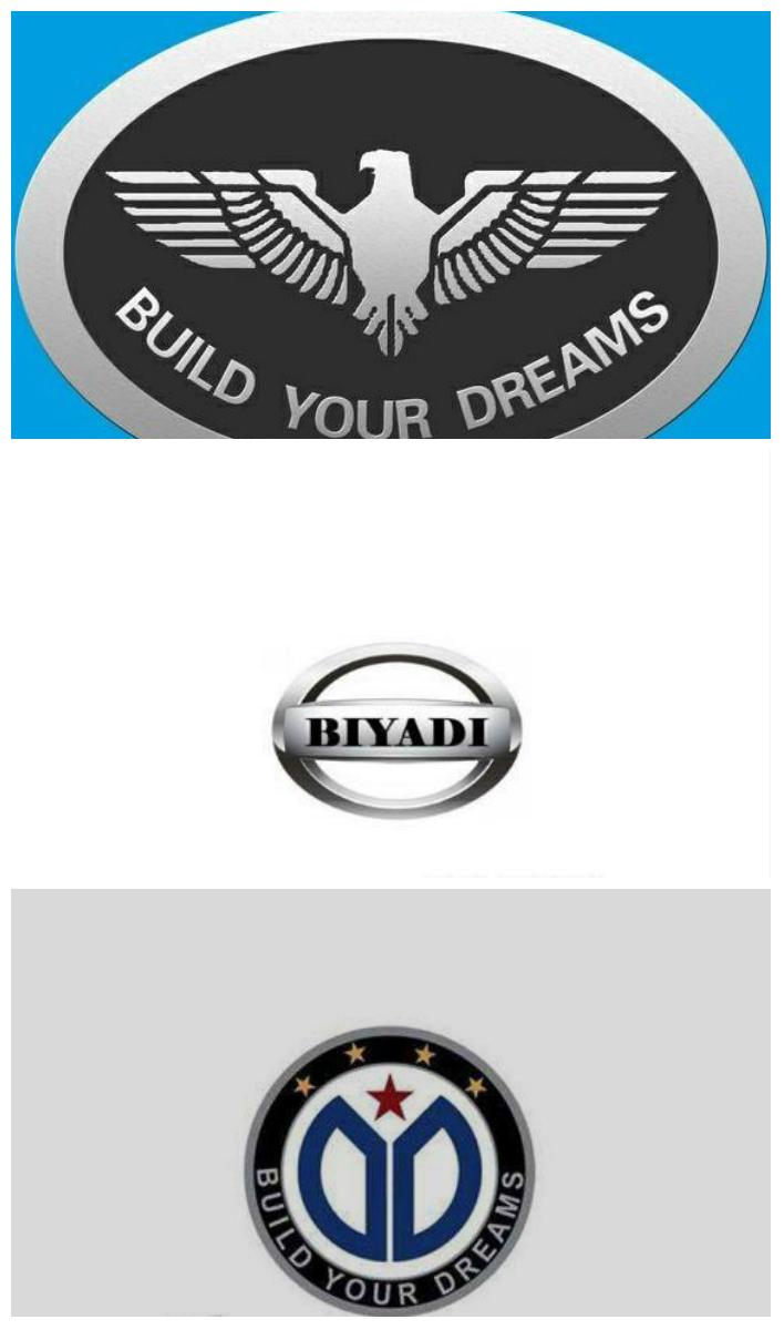 疑似比亚迪全新车标龙脸鹰翅设计师终于开窍了