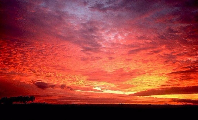 金辉耀天际,风燃彤云低|彤辉|彤云|红天_新浪新闻