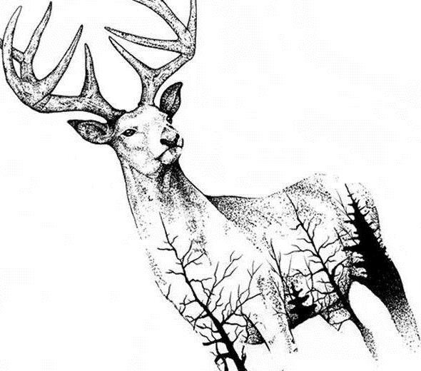 纹身手稿图案大全鹿头图片