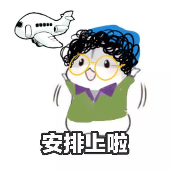 斗图斗图,你来我往才有意思,于是这条私人飞机表情包,很快就被人"安排