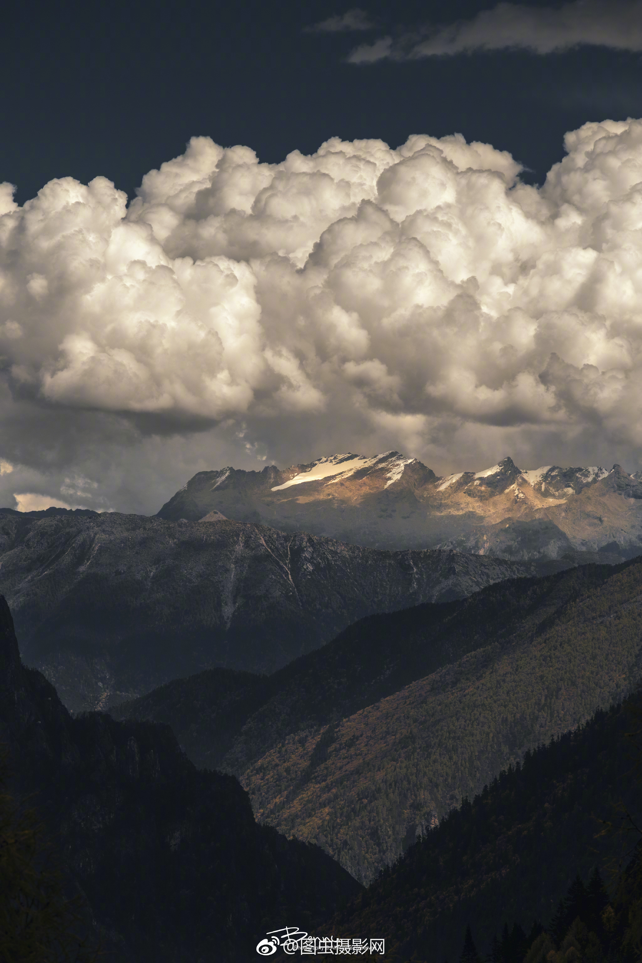 现在来图虫po图|虫|摄影师|投稿_新浪新闻