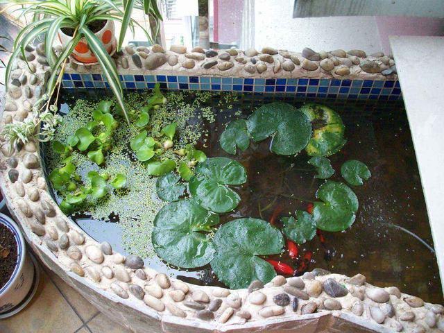 阳台设计个假山鱼池怡情又漂亮朋友看了都艳羡不已