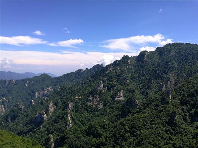 在刺激中尖叫!木札岭"老司机"拉你走进原始森林深处!