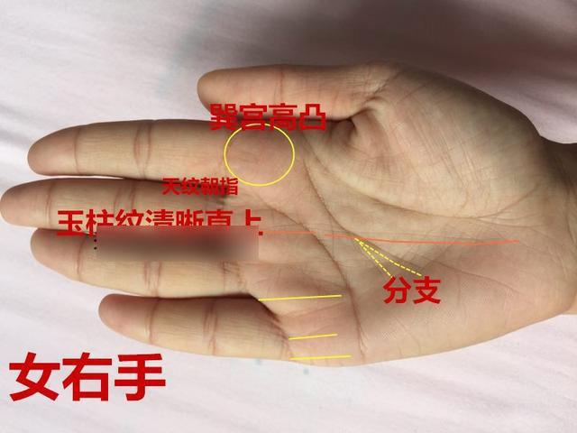 手相中感情线末分叉今生注定是二婚