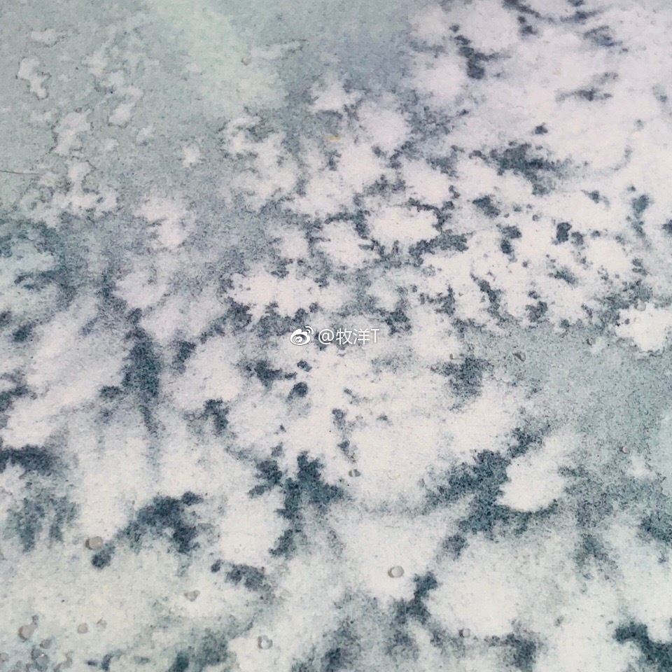 水彩撒盐技法相信大家都知道,先铺色再撒上盐粒就能做出丰富的效果