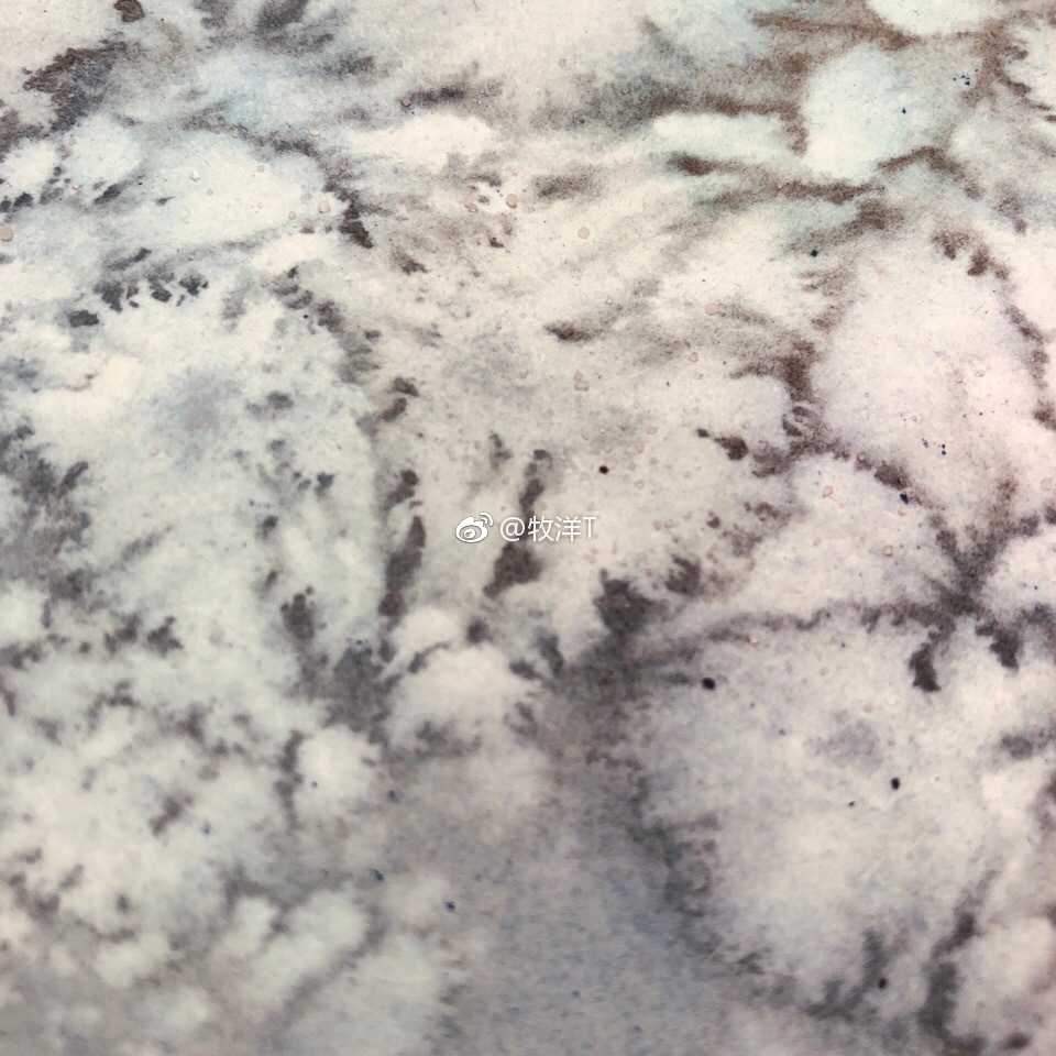水彩撒盐技法相信大家都知道,先铺色再撒上盐粒就能做出丰富的效果
