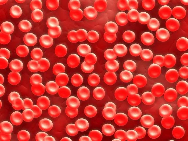 不动,体内却是千变万化:变硬变冷腐败放屁…|腐败|尸体|尸斑_新浪新闻