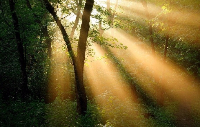 半宿冬寒留门外,一缕阳光照我心