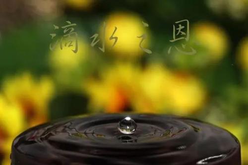 明星为了报恩,胡歌盖了30多所希望小学,赵丽颖捧红恩人女友!