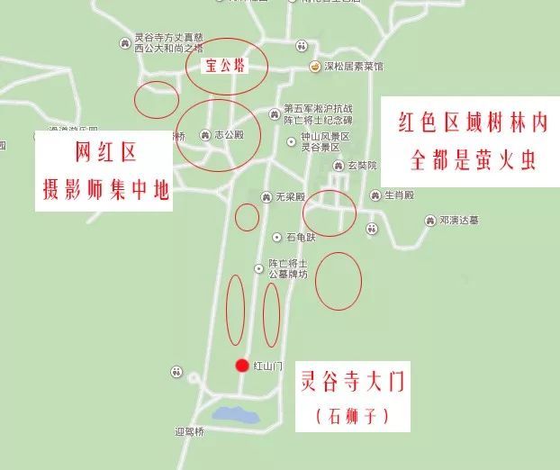 灵谷寺萤火虫南京仲夏夜的颜值巅峰