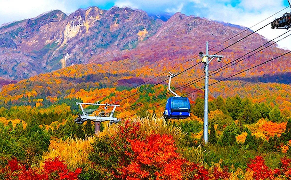 日本新潟,最好的稻米和酒都在这里了