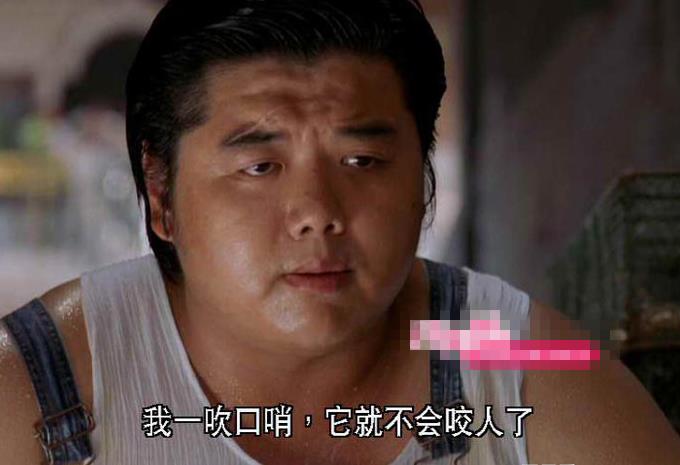 胖子林子聪瘦身成功240斤的体重一去不复返网友接受不了