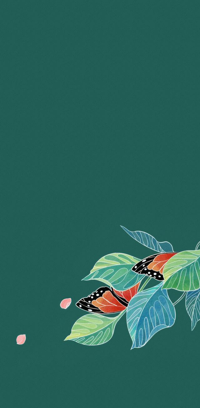 内置壁纸系列oppor15内置壁纸出彩