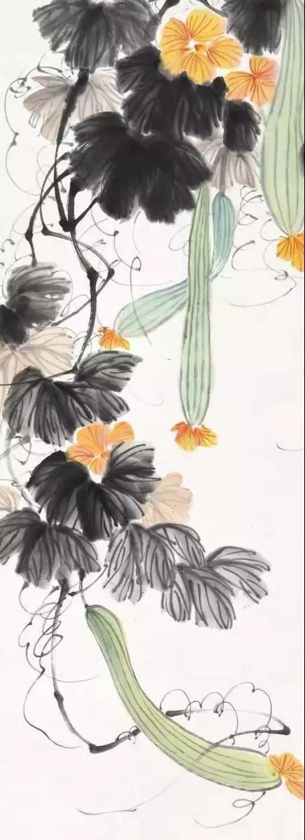 娄师白画丝瓜别有一番情趣67676767微博国画