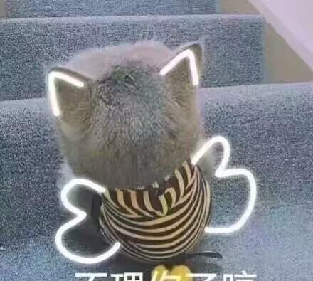 吸猫吸多了容易得猫癌,不过这有解药|解药|水流|表情包_新浪新闻