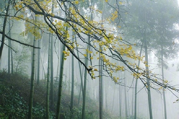 红尘漫漫夕霞晚,欲返空山了此生|渔樵|竹林|群仙_新浪新闻