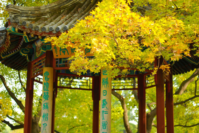 穿书自救指南沈清秋好好一美男子 可惜长了张嘴 穿书自救指南梗概