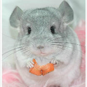 左倒库简单的操作方法, 秒学会