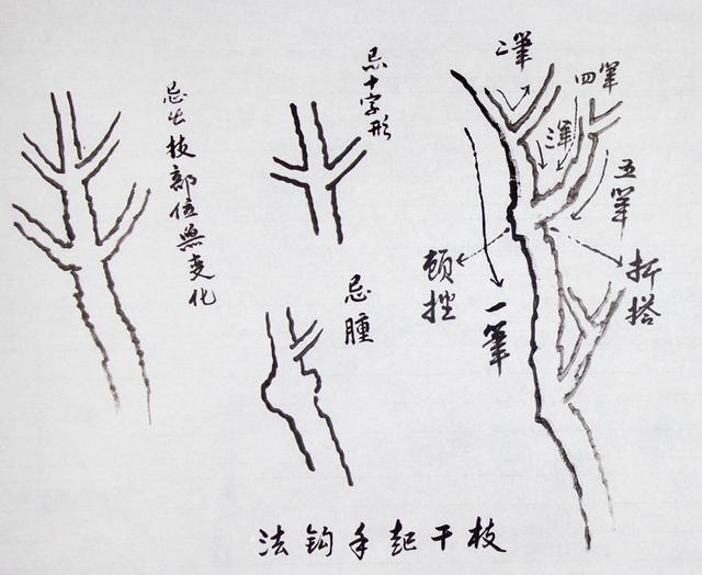 王玉池教授山水画基础技法教学讲义2山水画中树的画法1