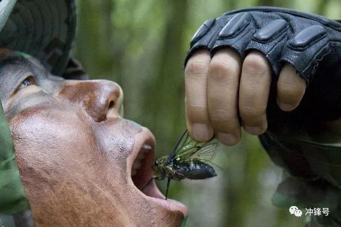 生吞活剥,大概就是这样▲ 为了生存,特种兵必须学会吃生肉▲ 野外