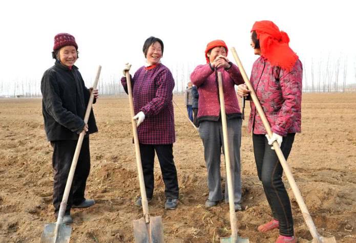 农村|农民|五年_新浪新闻